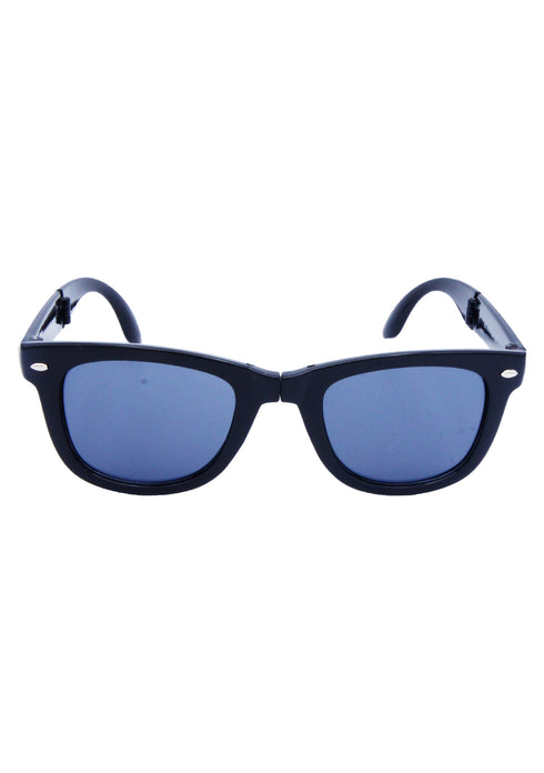 AQ WayFarer Sunglasses